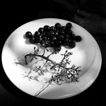 ©Claude Jonas _ TInos