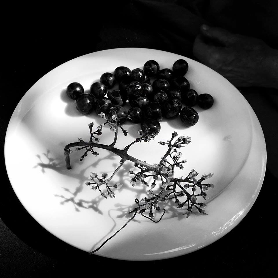 ©Claude Jonas _ TInos