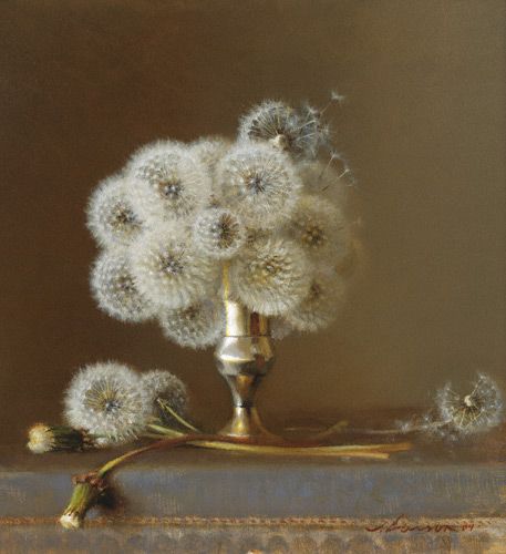 Dandelion Cordoliani Sérail Matin