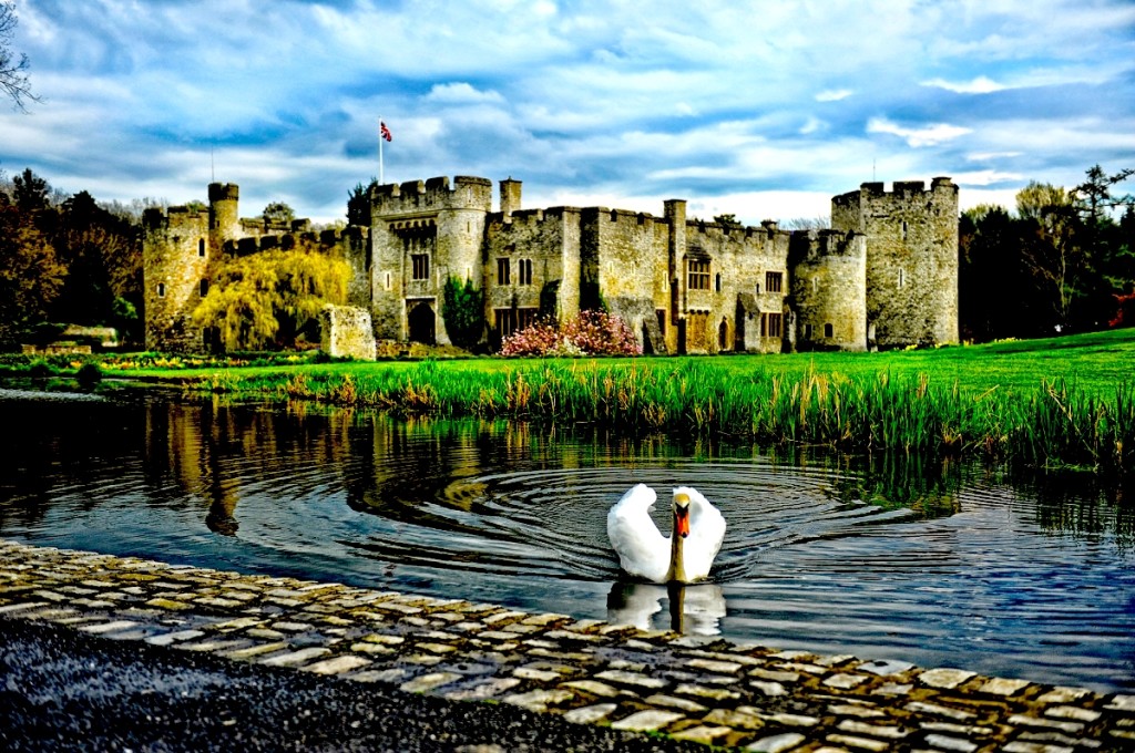 François Bon, Cordoliani Emmanuelle, Swan, castle
