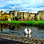 François Bon, Cordoliani Emmanuelle, Swan, castle