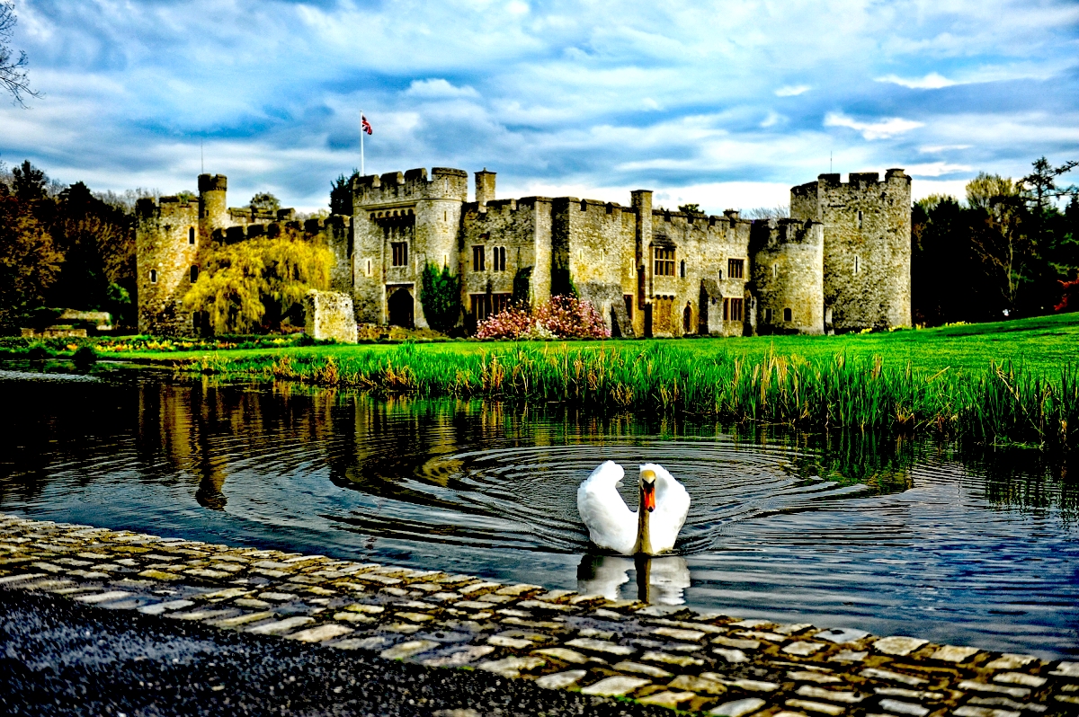 François Bon, Cordoliani Emmanuelle, Swan, castle